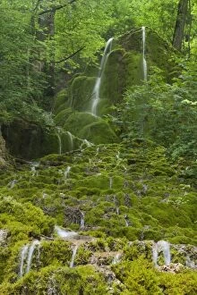 Images Dated 4th July 2012: Waterfall - water of a little waterfall runs over