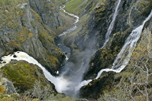 Images Dated 20th May 2007: waterfalls - view of the thundering water masses of Voringfossen and Simadalen in early spring