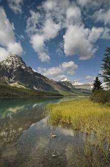 Alberta Gallery: Waterfowl lake along the Icefields parkway