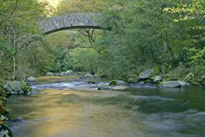 Brook Prints: Watersmeet historic bridge spanning river with autumn colour reflections Watersmeet
