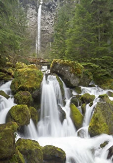 Watson creek and falls, Oregon