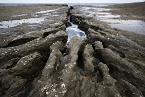 Images Dated 26th August 2005: Wave erosion cutting into the continental platform (this platform is called a 'restinga' in)
