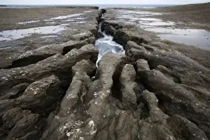 Destructive Prints: Wave erosion cutting into the continental platform (this platform is called a restinga in Argentina) Argentina