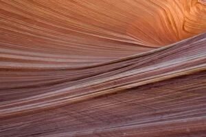 The Wave - an extraordinary area of sinuous eroded banded sandstone rocks