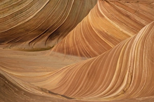 Images Dated 24th November 2006: The Wave - an extraordinary area of sinuous eroded banded sandstone rocks in the Paria-Vermillion