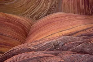 The Wave - an extraordinary area of sinuous eroded banded sandstone rocks in the Paria-Vermillion Cliffs National Monument, Arizona (on the border with Utah)