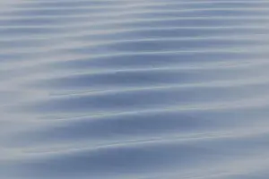 Waves Prints: Wave Svalbard 18, S-E Arndt