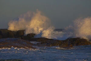 Waves Gallery: Waves crashing on rocks at Windy Harbor
