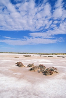 Images Dated 31st January 2011: West Australia JPF 9112 Little Sandy Desert, Lake Aerodrome © Jean-Paul Ferrero / ardea.com
