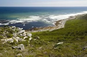 West coast of Cape Peninsula, National Park, South Africa