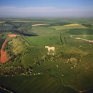 Antiquity Gallery: Westbury White Horse, and an Iron Age Bratton Camp