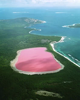 Images Dated 10th November 2010: WESTERN AUSTRALIA - Lake Hillier, Middle Island - Archipelago of the Recherche