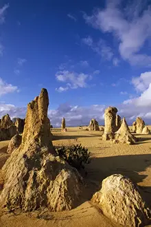Pinnacle Prints: Western Australia - The Pinnacles Desert Nambung National Park, Western Australia