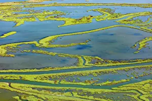 Marsh Prints: Wetland on the Aegean coast, Turkey. Date: 21-08-2018