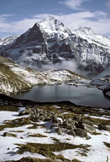 The Wetterhorn rises above the Bachsee in
