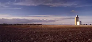 Cereals Prints: Wheat Field and Silo JLR 69 Malley region north west Victoria