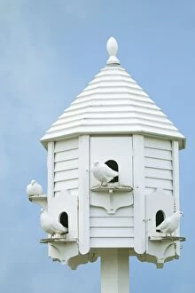 Birdhouse Gallery: White Doves - on white dovecote