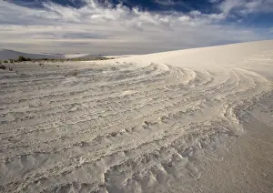 Chihuahuan Prints: White Gypsum Dunes - sculpted by the wind White Sands National Monument, New Mexico, USA