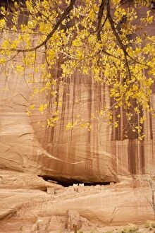 Images Dated 27th November 2006: The White House ruin, in Canyon de Chelly National