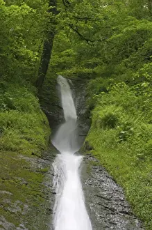 White Lady Falls Lydford Gorge Dartmoor National Park Devon, UK LA000234