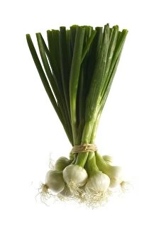 White Onion / Spring Onions