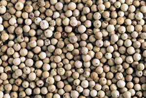 Pepper Prints: White Peppercorns