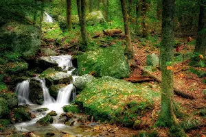 Falls Prints: Wigwam Falls, Virginia, Blue Ridge Parkway Date: 04-10-2018