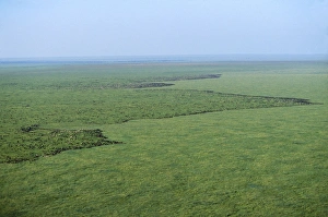 Images Dated 2nd May 2008: Wildebeest - migration Serengeti National Park - Tanzania