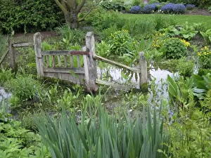 Bogs Prints: Wildlife garden - marshy bog