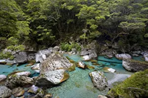 Wildwater river clear water running through a gorge in lush Southern Beech forest alongside the Routeburn Track Mount Aspiring National Park, Wanaka District, South Island, New Zealand