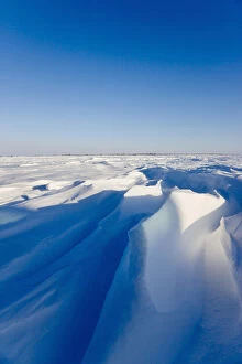 Barren Gallery: Wind carved snow on the tundra, Wapusk National