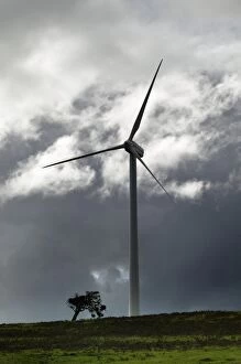 Wind farm near Portland, South Australia