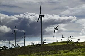 Images Dated 29th July 2004: Wind farm near Portland, South Australia