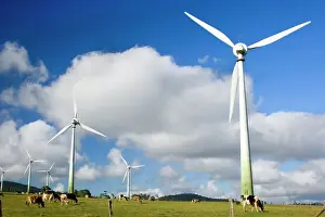 Cattle Prints: Wind power plant - wind turbines of Windy Hill Wind Farm in the Atherton Tablelands