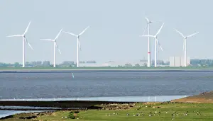 Energy Prints: Wind Turbines and migrating Barnacle Geese- on the north coast of Holland