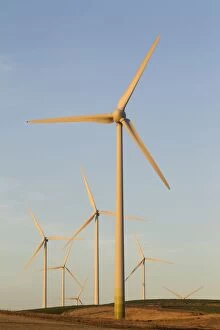 Images Dated 11th June 2012: Windmills - in late evening light on a Wind Farm