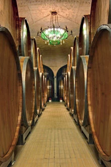 Barrel Gallery: Wine Barrel room, Castle Banfi, Tuscany