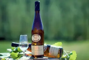 Wine Prints: Wine - Petaluma Rhine Riesling South Australia