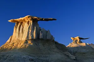 Clay Prints: The Wings - eroded clay sculptures with rocks balanced on its tops that make it look like wings - Bisti Badlands