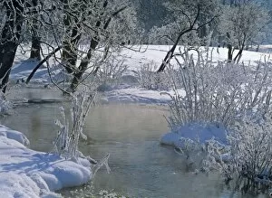 Winter scenery - steaming brook flanked by frost-covered trees and shrubbery