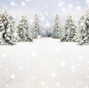 Backgrounds Gallery: Winter snow scene with spruce trees and falling snow     Date: 14-Jun-12