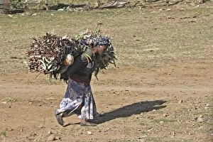 Woman carrying eucalyptus