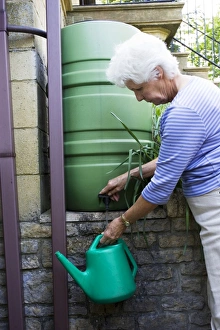 Images Dated 22nd April 2007: Woman filling watering can from rainwater butt. Cotswolds UK