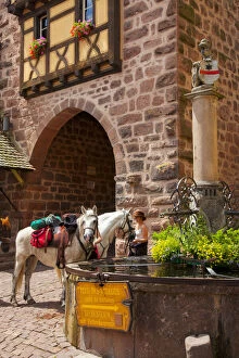 Woman with saddle horses at the public fountain