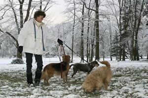 Woman walking dogs in the snow