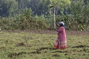 Woman - working in field
