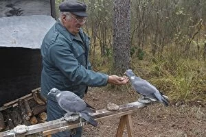 Wood Pigeon hunting area