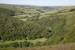 Wooded valley on Exmoor taken from Countrygate Country Park near Porlock Somerset UK