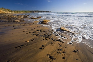 Images Dated 3rd December 2008: Woolamai Surf Beach - beautiful surf beach at low tide in late evening light