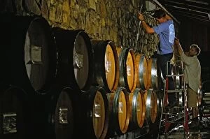 Barrel Gallery: Workers - Making Chardonnay Cullen Winery